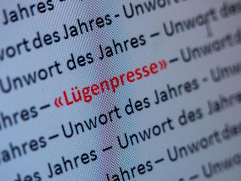 Auf einem Computermonitor in Schwerin (Mecklenburg-Vorpommern) ist am 13.01.2015 das «Unwort des Jahres 2014» «Lügenpresse» zu sehen. Foto: Jens Büttner/dpa (zu dpa "«Lügenpresse» zum «Unwort des Jahres 2014» gewählt" am 13.01.2015)