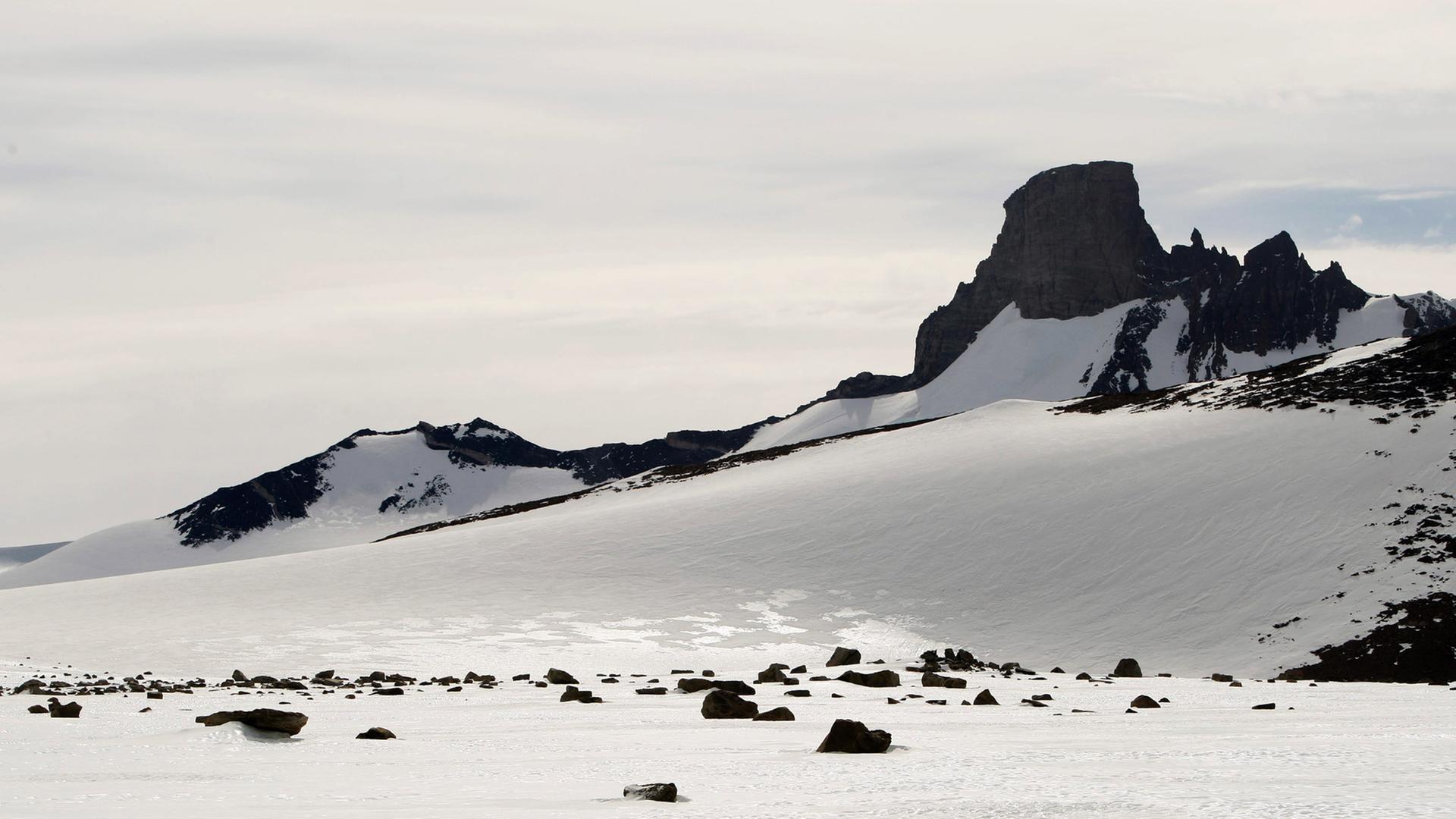 Die Mayrkette (norwegisch: Jutulsessen), ein Gebirge in der Antarktis Die Mayrkette (norwegisch: Jutulsessen), ein Gebirge in der Antarktis