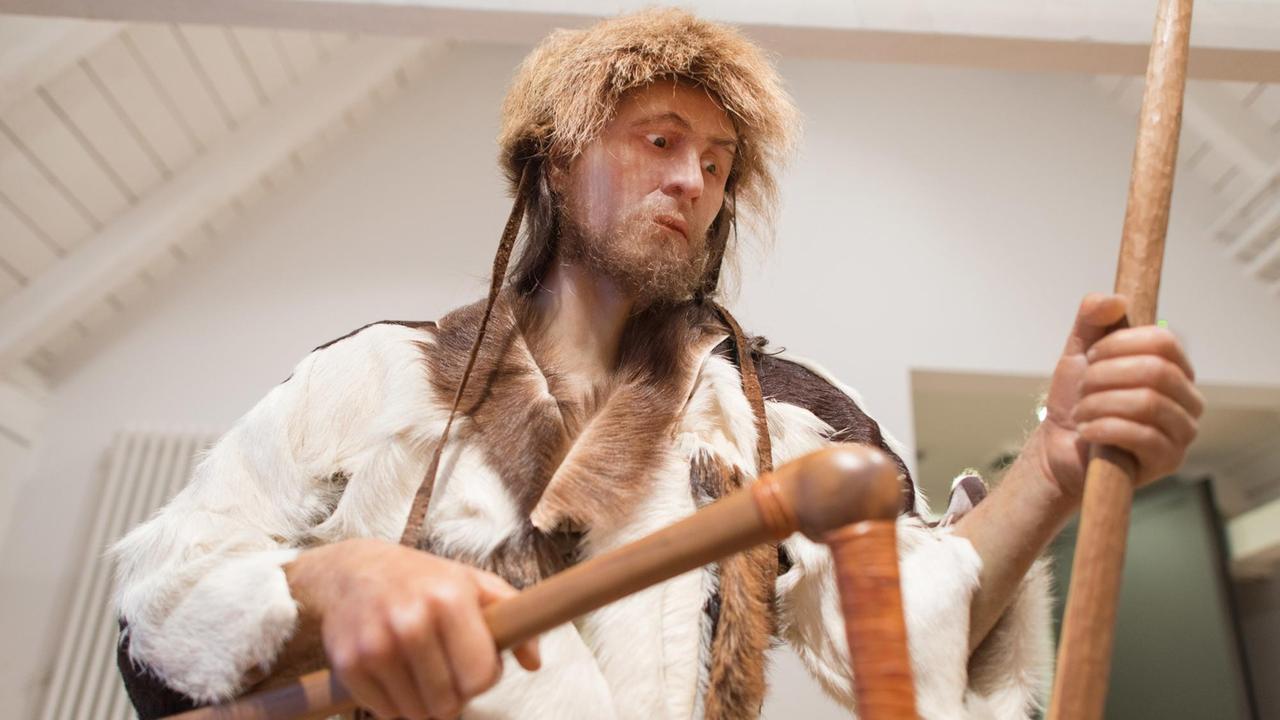 Eine Nachbildung der Ötzi-Mumie steht am 08.11.2013 in Herxheim (Rheinland-Pfalz) im Museum. Eine Nachbildung der Ötzi-Mumie steht am 08.11.2013 in Herxheim (Rheinland-Pfalz) im Museum.