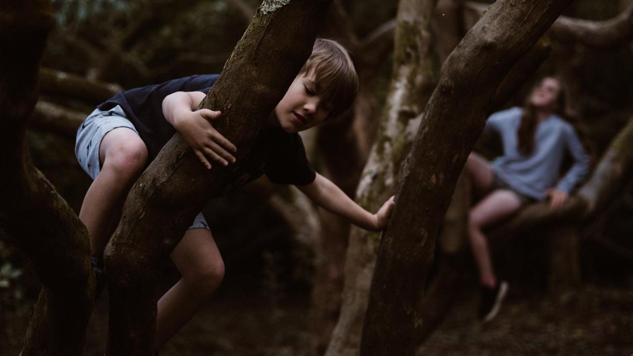 Im Vordergrund links klettert ein Junge gebückt an einem Baum. Im Hintergrund rechts in der Unschärfe sitzt ein Mädchen im Baum und schaut hoch. Im Vordergrund links klettert ein Junge gebückt an einem Baum. Im Hintergrund rechts in der Unschärfe sitzt ein Mädchen im Baum und schaut hoch.