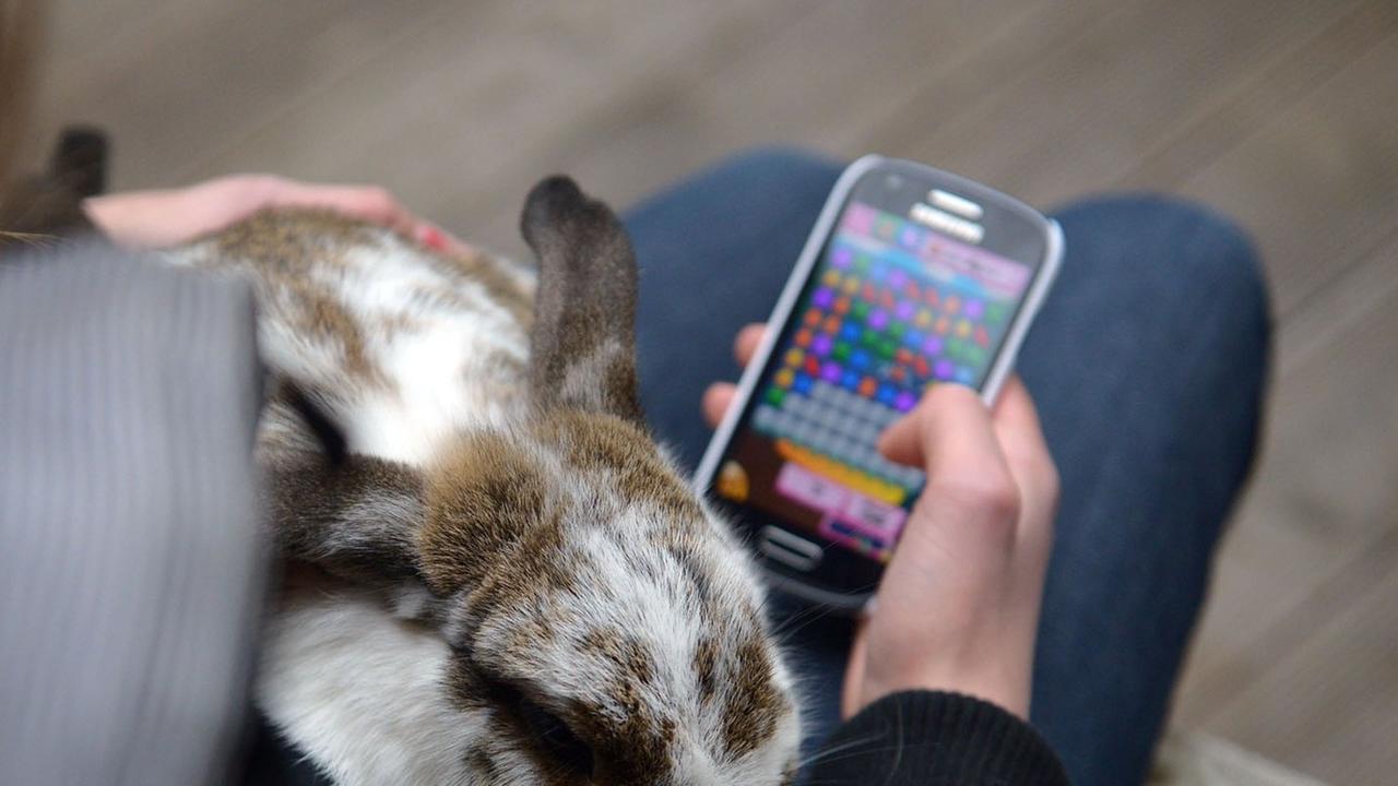 Eine 13-jährige Jugendliche spieltauf ihrem Smartphone das Spiel "Candy Crush". Eine 13-jährige Jugendliche spieltauf ihrem Smartphone das Spiel "Candy Crush".