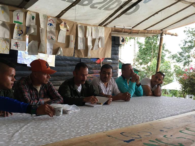 FARC-Rebellen bei einer Besprechung: Ob sie tatsächlich alle Waffen abgeben werden, ist noch unklar