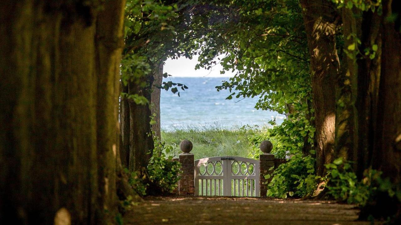 Ein Waldweg, der direkt ans Meer führt Ein Waldweg, der direkt ans Meer führt