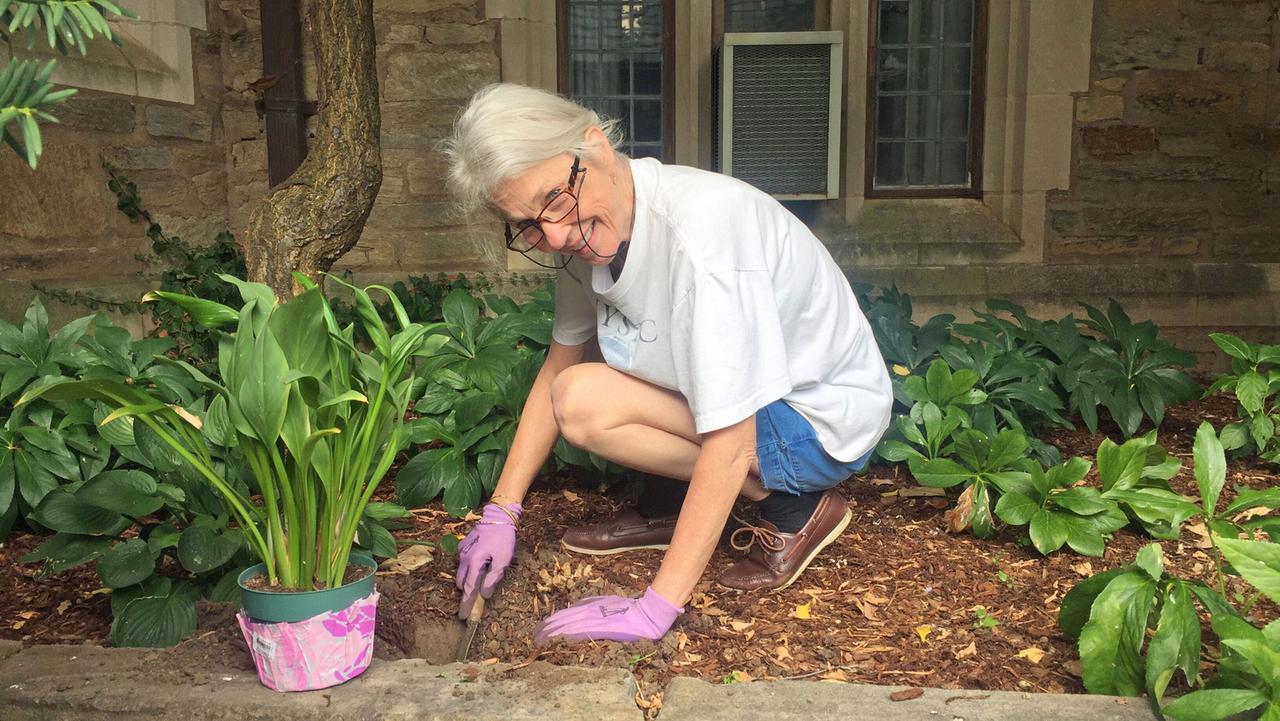 Rosemary Bowes arbeitet im Garten.