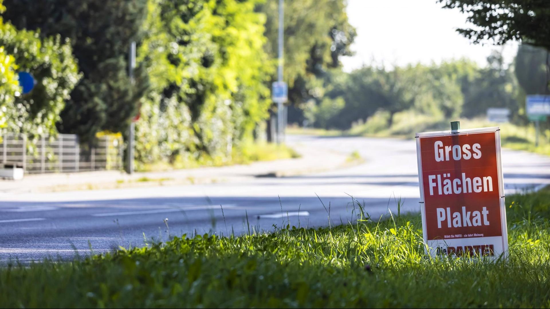 Am Straßenrand steht ein Plakat der Partei „Die Partei“ mit der Aufschrift „Grossflächenplakat“ Am Straßenrand steht ein Plakat der Partei „Die Partei“ mit der Aufschrift „Grossflächenplakat“