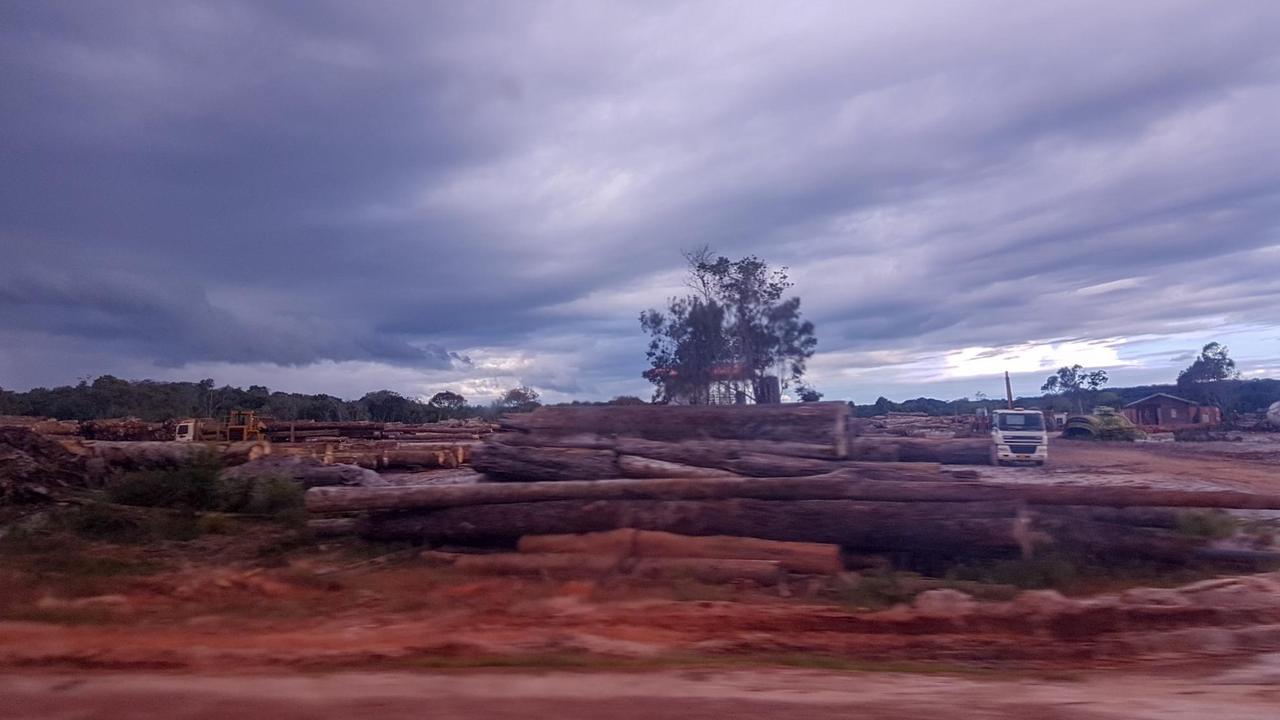 Holzverladung am Straßenrand. Immer wieder sind solche Lager zwischen der Hauptstadt Paramaribo und dem Wald zu sehen. Auch der Boden hier war einmal von Regenwald bedeckt. Holzverladung am Straßenrand. Immer wieder sind solche Lager zwischen der Hauptstadt Paramaribo und dem Wald zu sehen. Auch der Boden hier war einmal von Regenwald bedeckt.