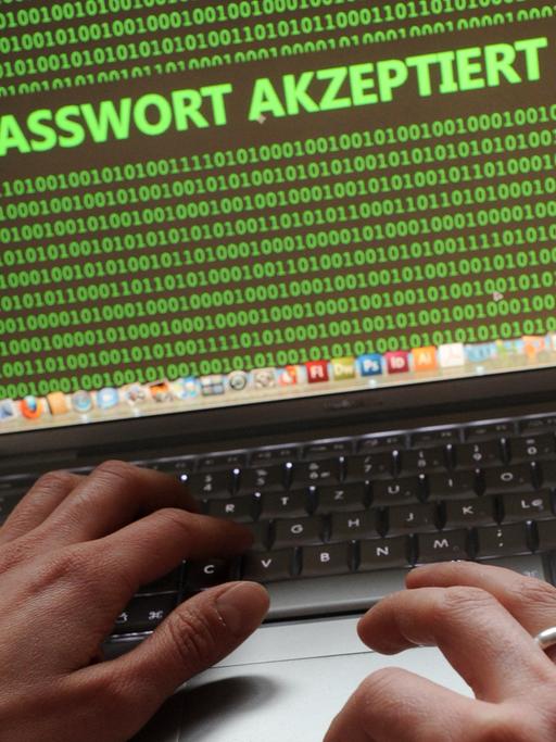 Ein Mensch vor einem Laptop, an dessen Monitor der Schriftzug "Passwort akzeptiert" zu lesen ist.