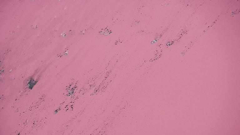Ein See aus rosa gefärbten Schweinefäkalien in North Carolina, USA.