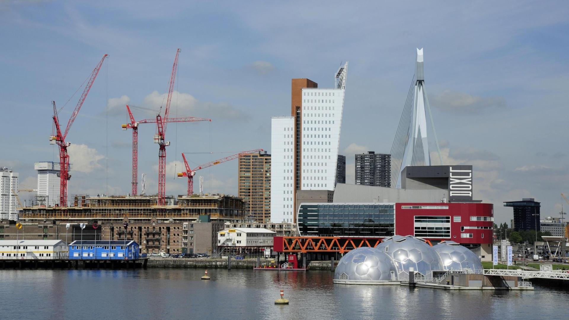 Sicht auf moderne Architektur und Baukräne in Rotterdam, vom Nieuwe Maas Fluss aus.