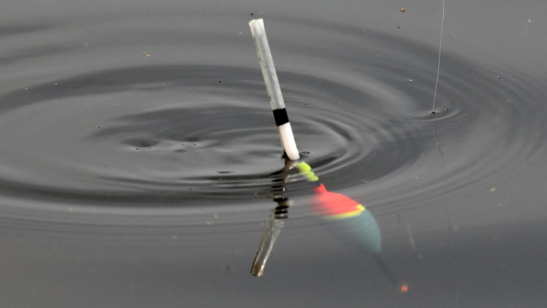Ein Schwimmer wird beim "Angeln am Pfaffenteich" am 2. Juni 2018 in Schwerin nach untengezogen. Ein Schwimmer wird beim "Angeln am Pfaffenteich" am 2. Juni 2018 in Schwerin nach untengezogen.