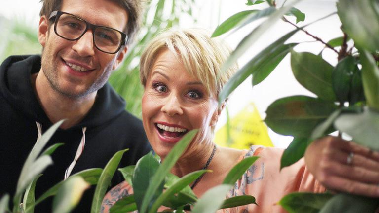 Die Moderatoren von der RTL-Sendung "Dschungelcamp". Die Moderatoren von der RTL-Sendung "Dschungelcamp".