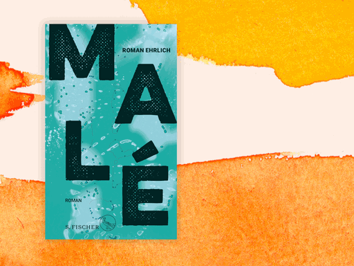 Cover des neuen Romans von Roman Ehrlich, der „Malé“ heißt.