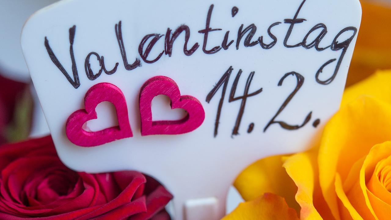 Rosen zum Valentinstag in einem Blumengeschäft in Manschnow (Brandenburg) Rosen zum Valentinstag in einem Blumengeschäft in Manschnow (Brandenburg)