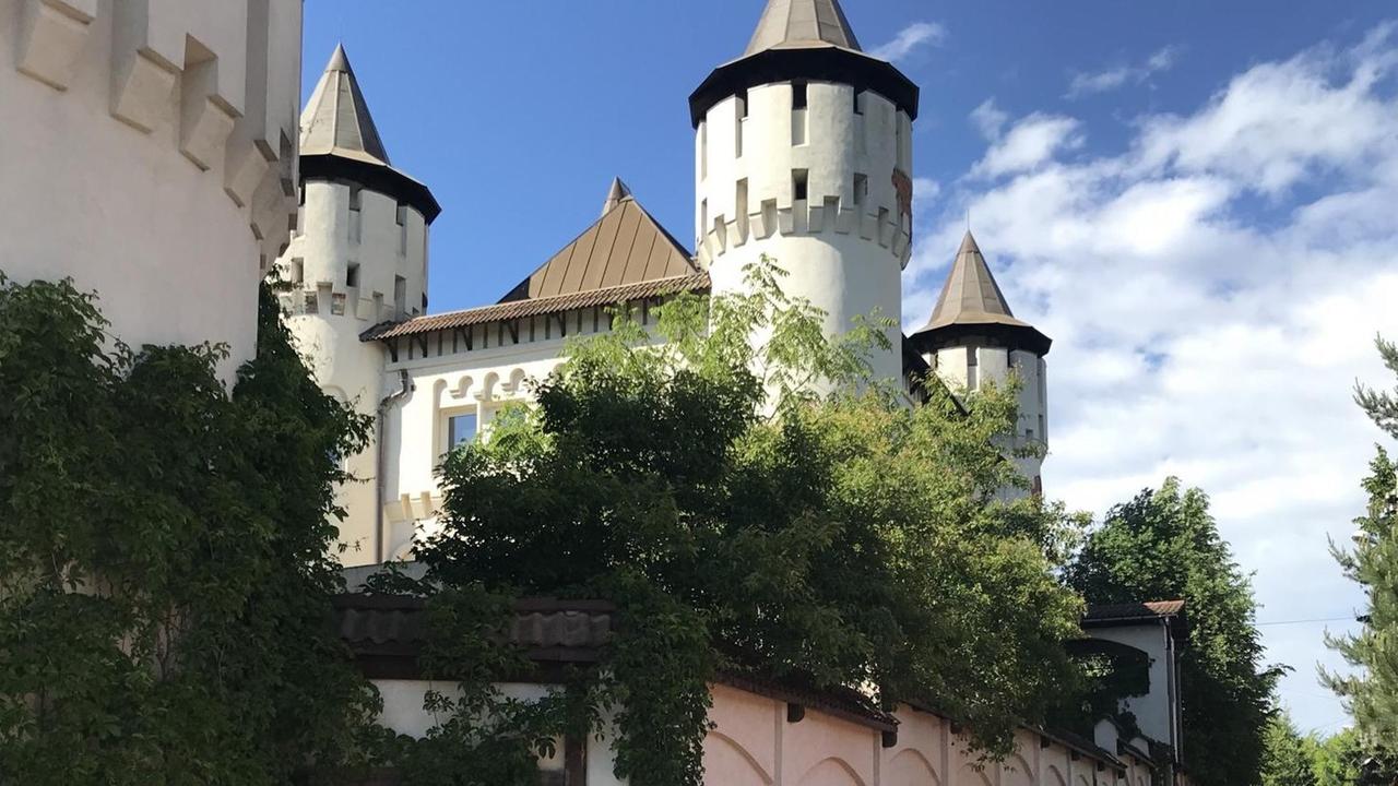 In den chaotischen 90er-Jahren baute in Russland jeder, wie er lustig war. Aus dieser Zeit stammt etwa diese schlossartige Datscha in Aleksanders Nachbarschaft In den chaotischen 90er-Jahren baute in Russland jeder, wie er lustig war. Aus dieser Zeit stammt etwa diese schlossartige Datscha in Aleksanders Nachbarschaft