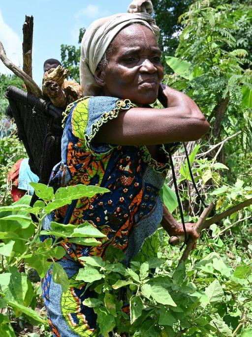 Mitglieder einer ökologischen Bauern-Kooperative im einem Feld nahe der Stadt Divo, Elfenbeinküste