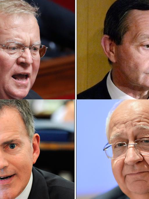 Die vier Abgeordneten Jacques Myard (UMP), Gerard Bapt (PS) (obere Reihe von links), Francois Zocchetto (UDI) und Jean-Pierre Vial (UMP) (untere Reihe von links)