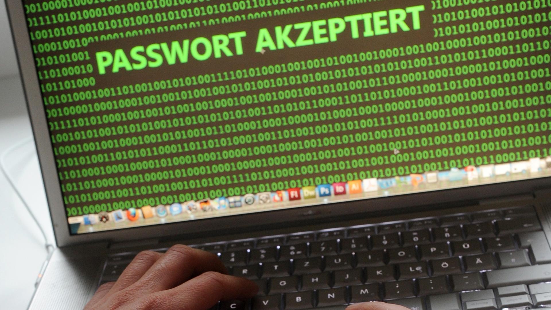 Ein Mensch vor einem Laptop, an dessen Monitor der Schriftzug "Passwort akzeptiert" zu lesen ist. Ein Mensch vor einem Laptop, an dessen Monitor der Schriftzug "Passwort akzeptiert" zu lesen ist.
