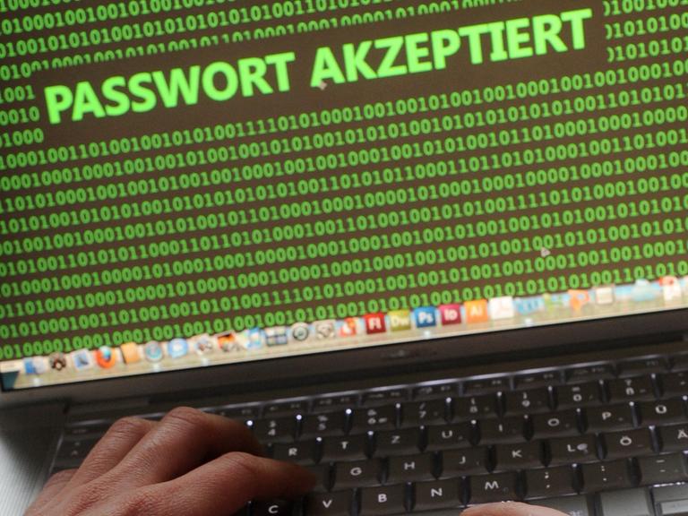 Ein Mensch vor einem Laptop, an dessen Monitor der Schriftzug "Passwort akzeptiert" zu lesen ist.