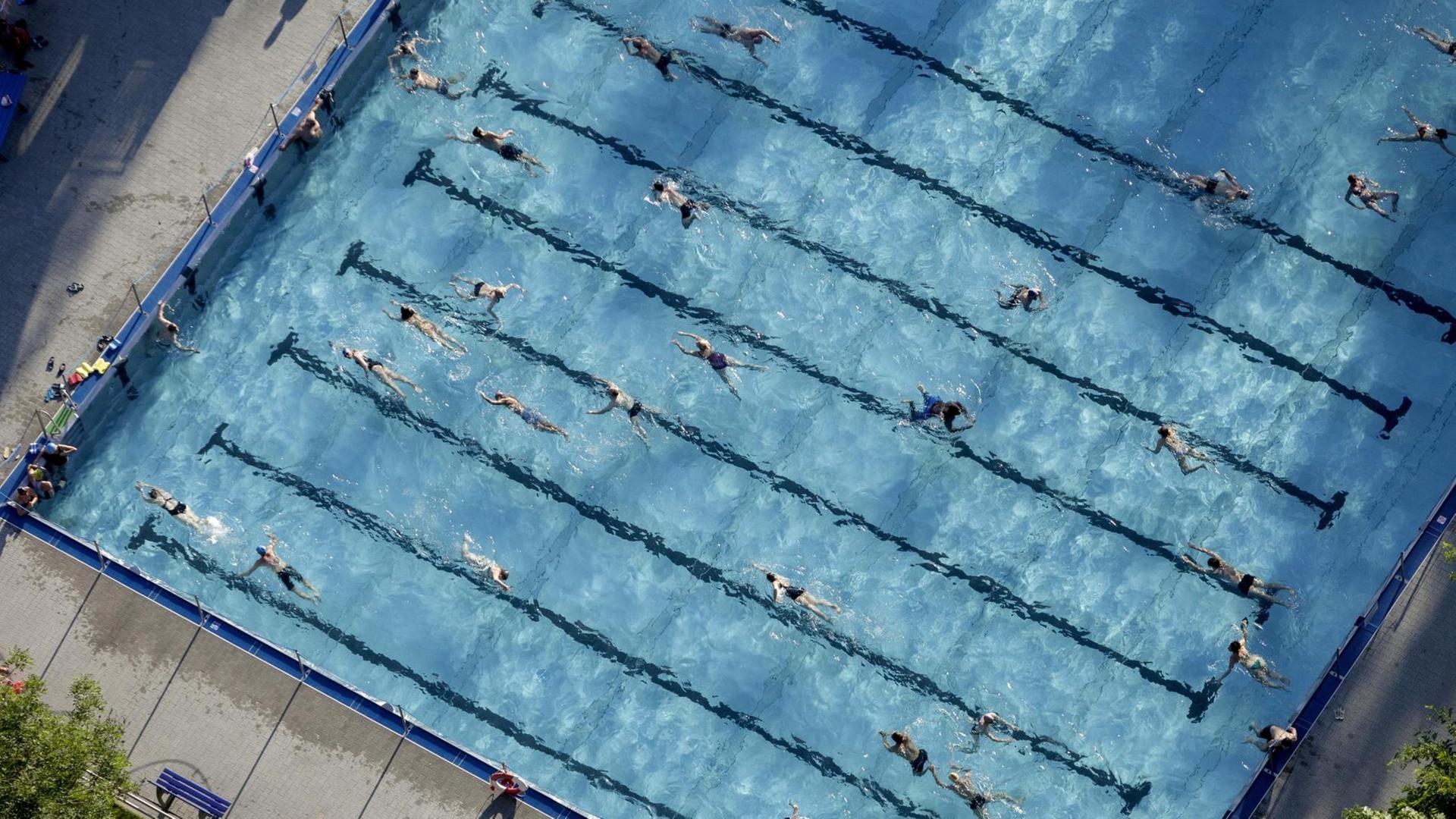 Luftaufnahme eines Schwimmbeckens im Freibad.