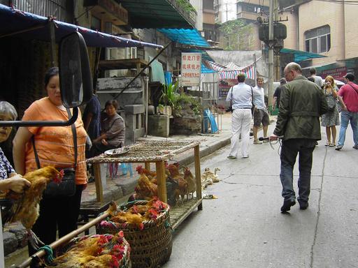 Ein Markt in China - zum Verkauf und Verzehr wird in dem Land auch Hunde- und Katzenfleisch geboten.
