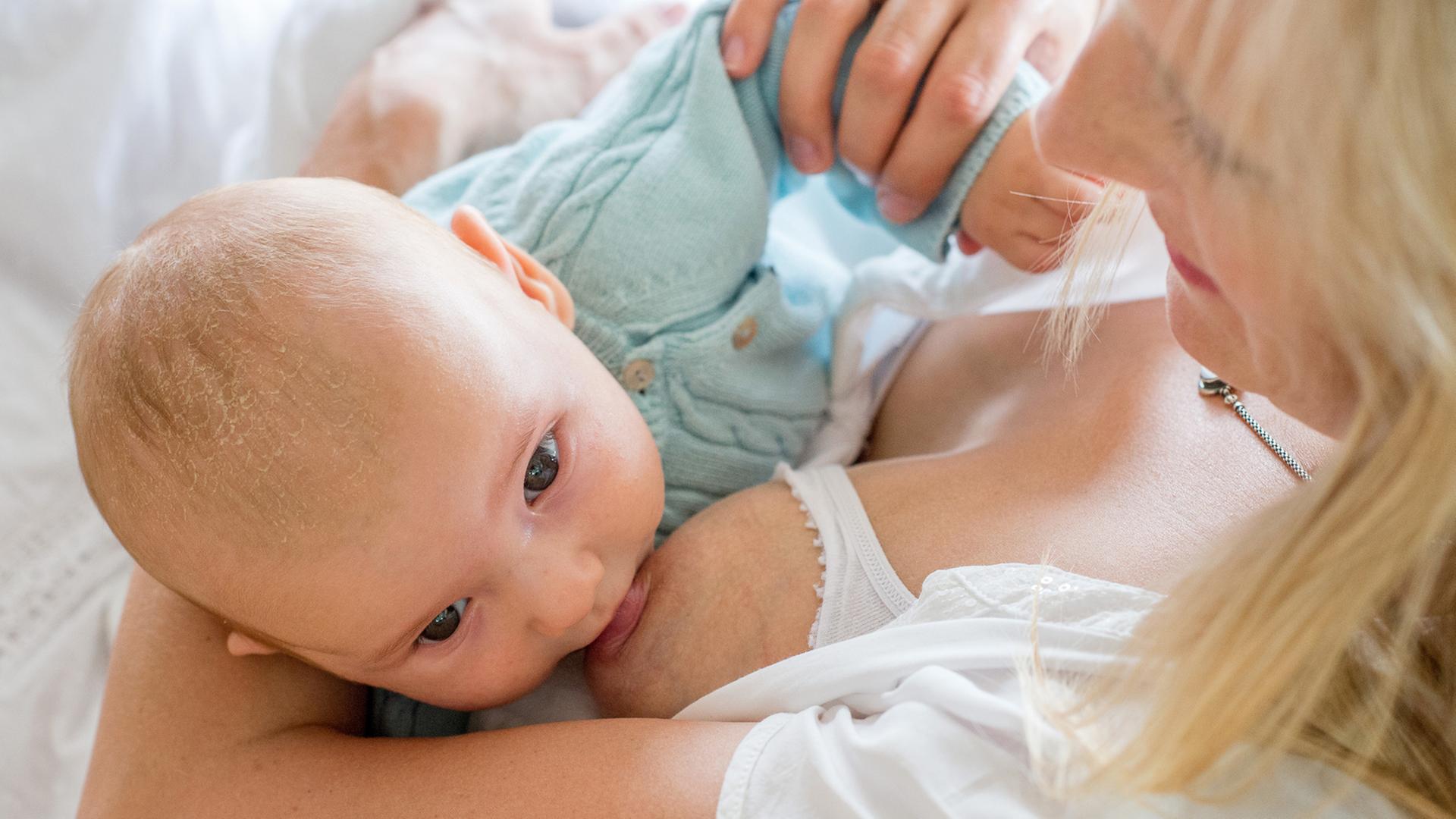 Ein Baby trinkt an der Brust seiner Mutter. Ein Baby trinkt an der Brust seiner Mutter.