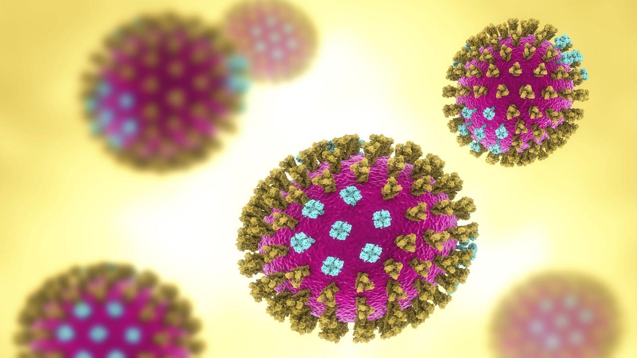 Eine 3D-Illustration zeigt ein Grippevirus mit den Oberflächenproteinen. Eine 3D-Illustration zeigt ein Grippevirus mit den Oberflächenproteinen.