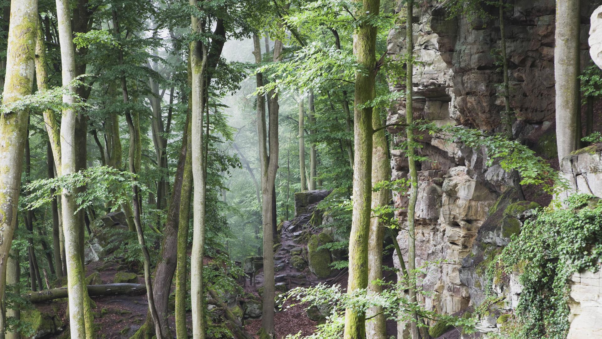 Naturpark Eifel Naturpark Eifel