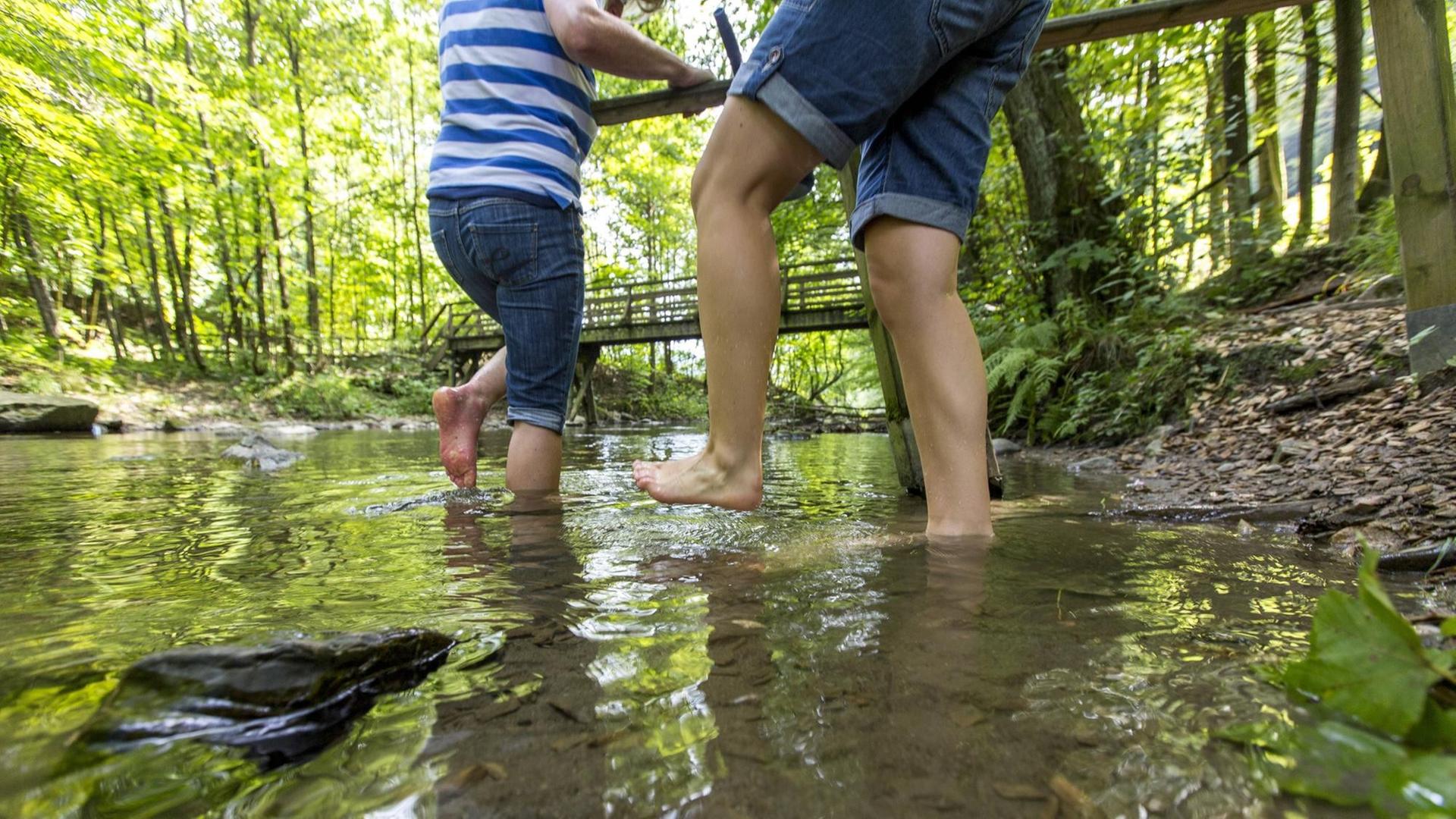 Zwei Personen sind beim Wassertreten in der Ruhr auf einem Kneipp-Wanderweg bei Olsberg im Sauerland zu sehen. Rechts und links befinden sich Bäume, durch die Sonnenlicht fällt, im Hintergrund ist eine Holzbrücke zu sehen. Zwei Personen sind beim Wassertreten in der Ruhr auf einem Kneipp-Wanderweg bei Olsberg im Sauerland zu sehen. Rechts und links befinden sich Bäume, durch die Sonnenlicht fällt, im Hintergrund ist eine Holzbrücke zu sehen.