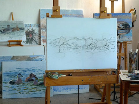 Blick ins Atelier des schwedischen Vogelmalers Lars Jonsson Blick ins Atelier des schwedischen Vogelmalers Lars Jonsson