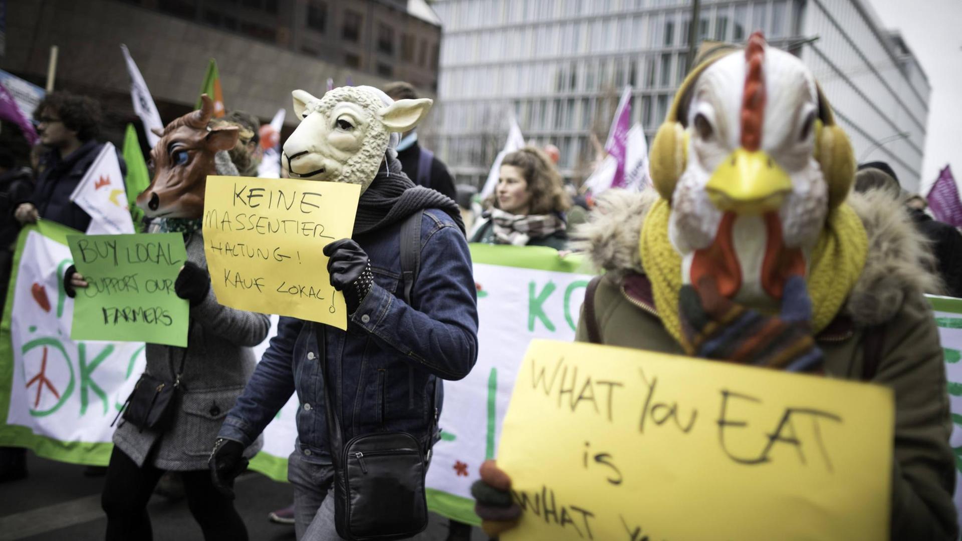 Demo gegen Massentierhaltung und TTIP Großdemonstration anlässlich der Agrarmesse Grüne Woche. Demo gegen Massentierhaltung und TTIP Großdemonstration anlässlich der Agrarmesse Grüne Woche.