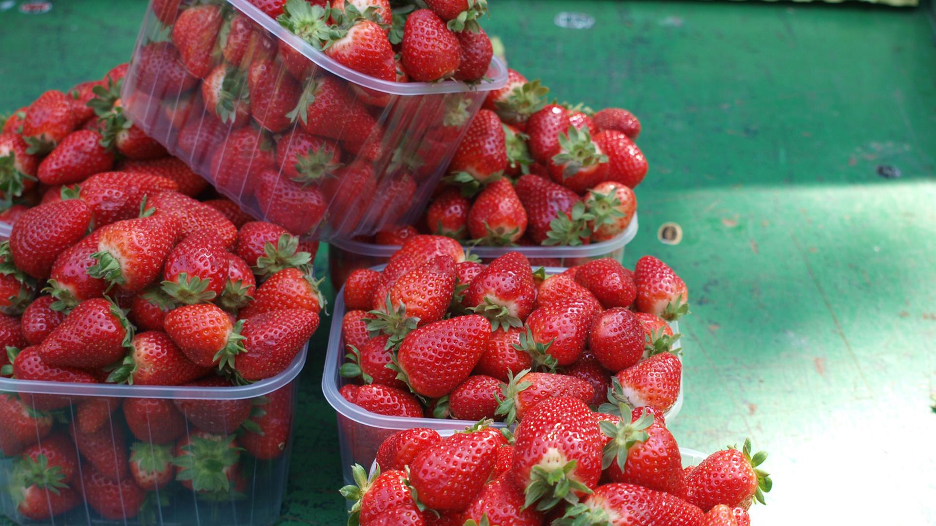 Mehrere Schalen mit Erdbeeren stehen auf einem Marktstand Mehrere Schalen mit Erdbeeren stehen auf einem Marktstand