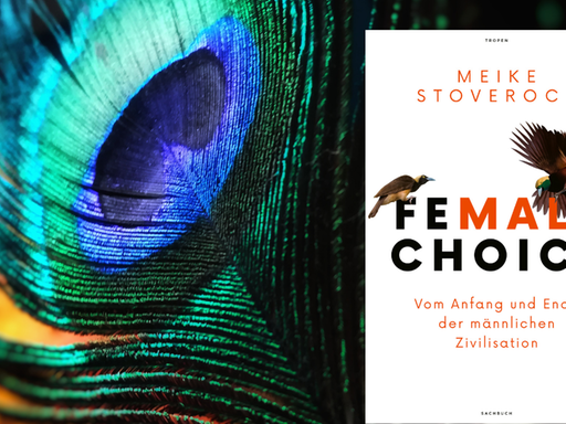 Das Buchcover von Meike Stoverock: "Female Choice" vor einer Pfauenfeder