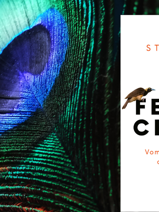 Das Buchcover von Meike Stoverock: "Female Choice" vor einer Pfauenfeder