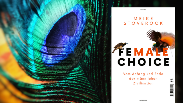 Das Buchcover von Meike Stoverock: "Female Choice" vor einer Pfauenfeder