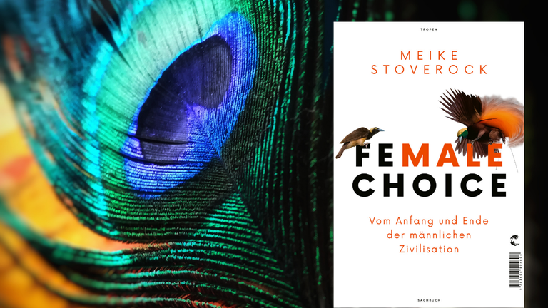 Das Buchcover von Meike Stoverock: "Female Choice" vor einer Pfauenfeder Das Buchcover von Meike Stoverock: "Female Choice" vor einer Pfauenfeder