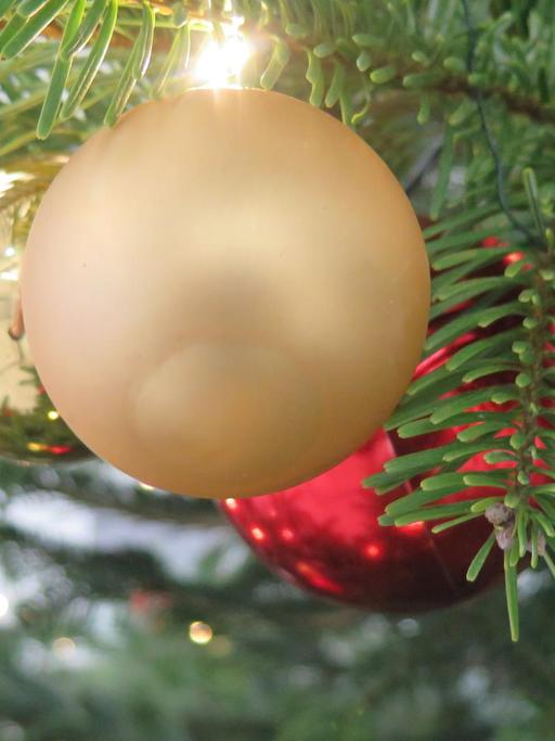 Drei Weihnachtskugeln in rot und gold hängen an einem Weihnachtsbaum.