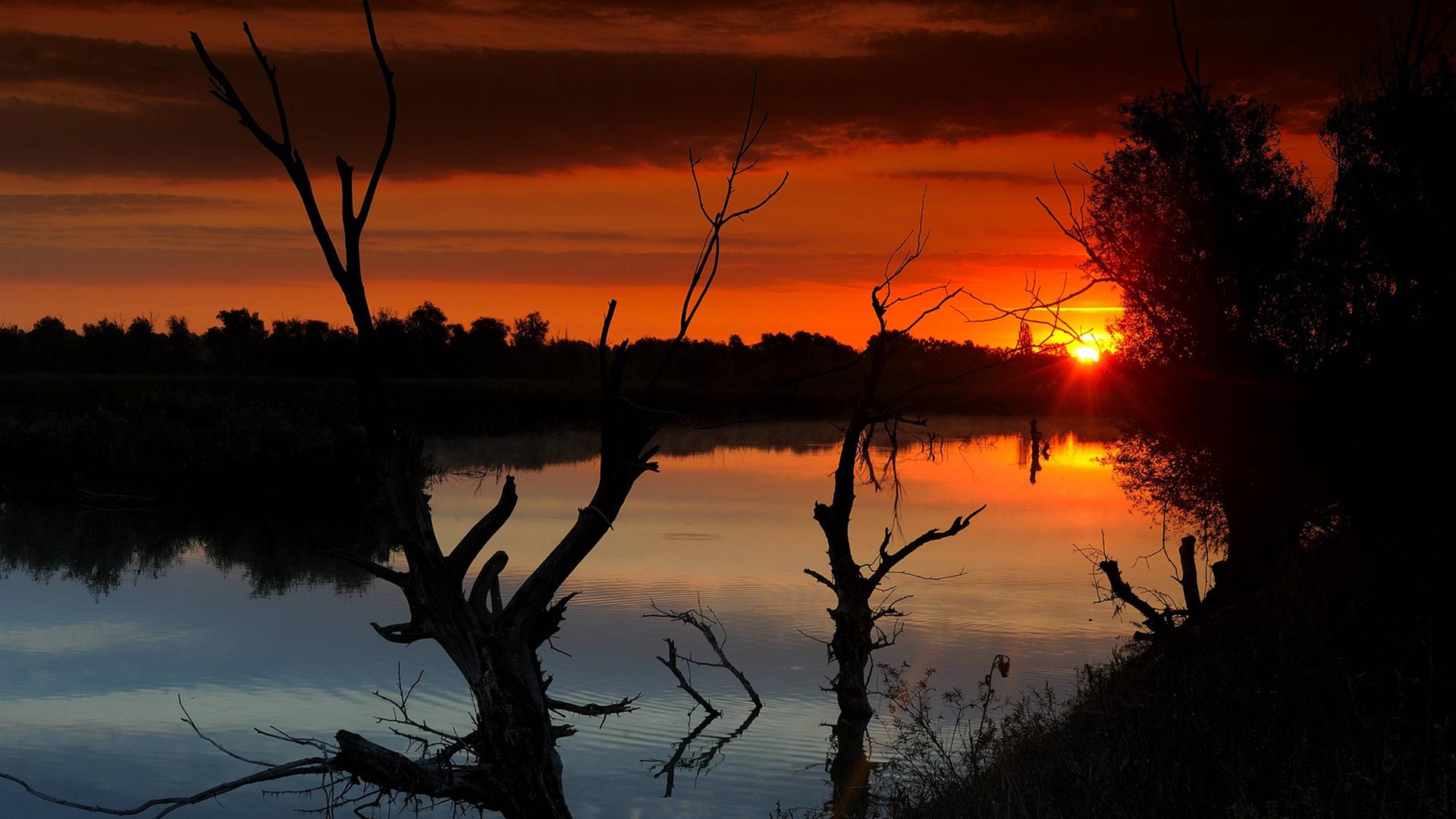 Sonnenaufgang über dem Donaudelta in Rumänien. Sonnenaufgang über dem Donaudelta in Rumänien.