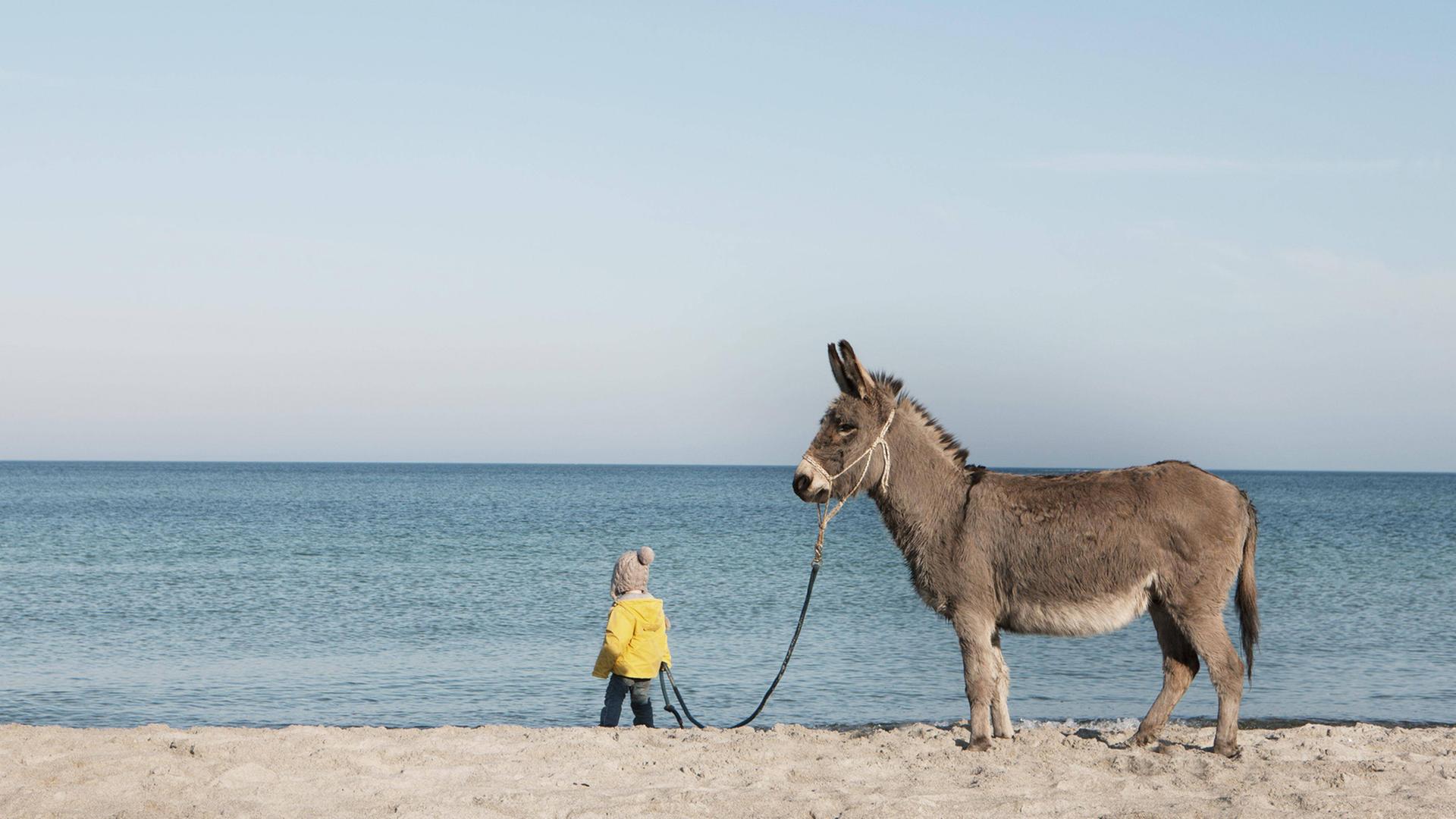 Ein Esel steht an einem Sandstrand vor blauem Meer: Ein kleines Kind mit Mütze und gelber Jacke hält ihn dabei am Zügel.