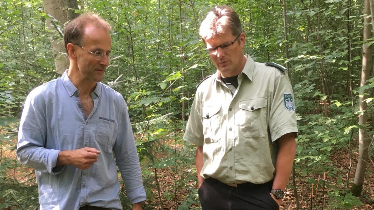 Forstbesitzer Holger Weinauge (l.) und Bundesförster Ulrich Dohle beim Waldbesuch