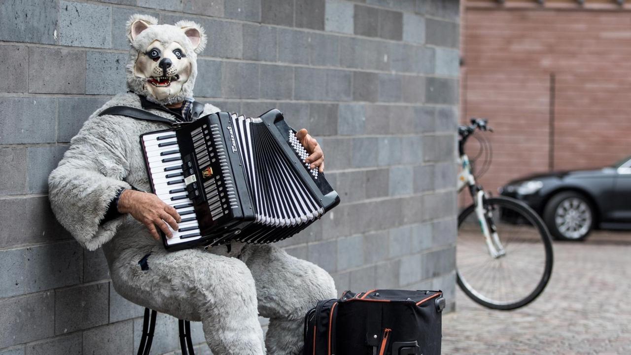 Ein Straßenmusiker hat sich als Bär verkleidet und spielt mit seinem Akkordeon.