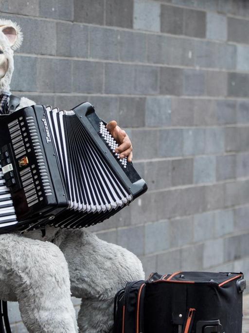 Ein Straßenmusiker hat sich als Bär verkleidet und spielt mit seinem Akkordeon.