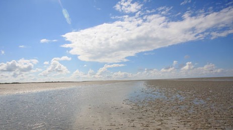 Nordsee - Wattenmeer