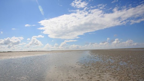 Nordsee - Wattenmeer Nordsee - Wattenmeer