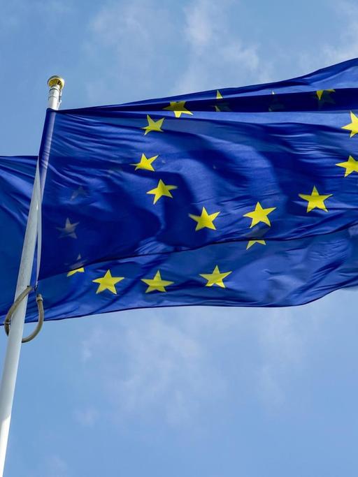 Das Bild zeigt zwei EU-Flaggen, die vor dem Parlament in Straßburg wehen.