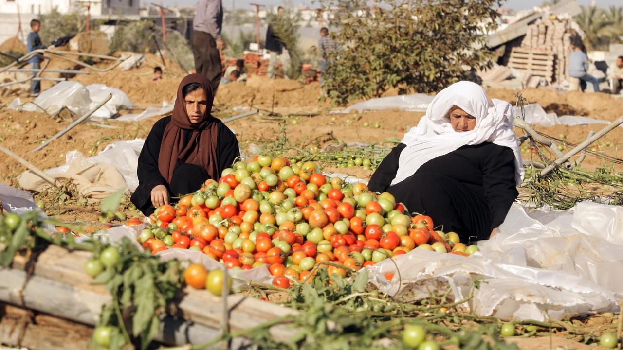Landwirtschaftliche Produkte anzubauen ist im Gaza-Streifen kaum möglich