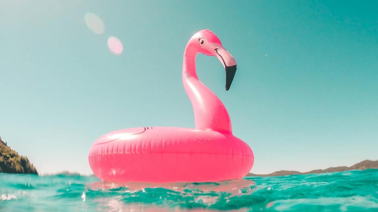 Ein pinker Gummiflamingo bei Sonnenschein im Pool Ein pinker Gummiflamingo bei Sonnenschein im Pool