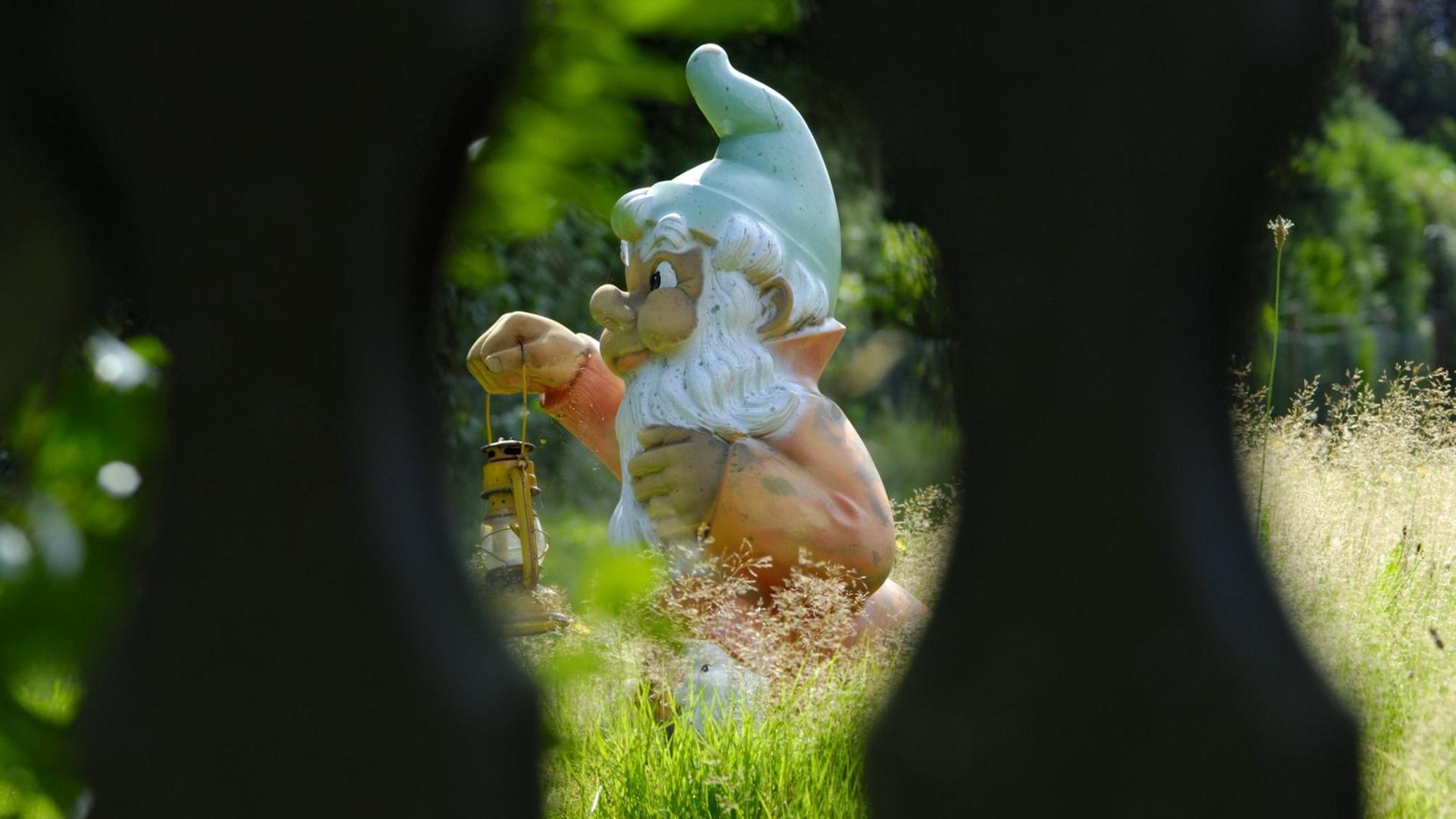 Ein Gartenzwerg durch einen Zaun beobachtet. Ein Gartenzwerg durch einen Zaun beobachtet.