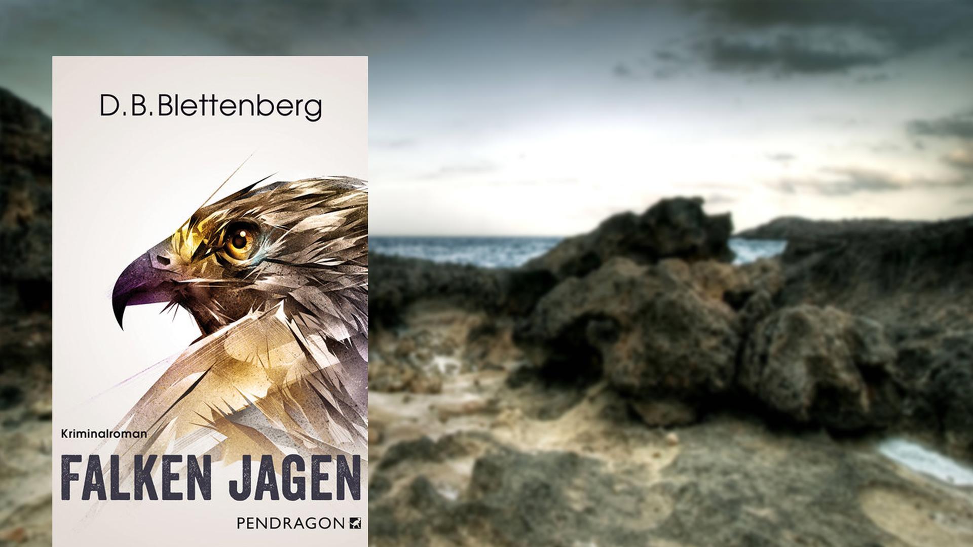 Buchcover: D.B. Blettenberg: "Falken jagen" Buchcover: D.B. Blettenberg: "Falken jagen"