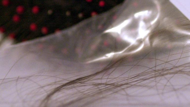 Falsche Haaranalysen sollen zu Todesurteilen geführt haben. Falsche Haaranalysen sollen zu Todesurteilen geführt haben.
