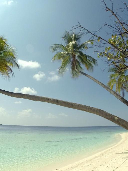 Palmenstrand auf einer Urlaubsinsel der Malediven des Ari Atolls, aufgenommen am 18.04.2014. Der Inselstaat Malediven liegt im indischen Ozean und besteht aus mehreren Atollen und mehr als 1.100 Inseln.